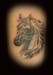 tattoo galleries/ - Horse - 50559